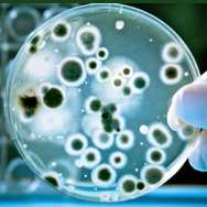 DISINFECTION